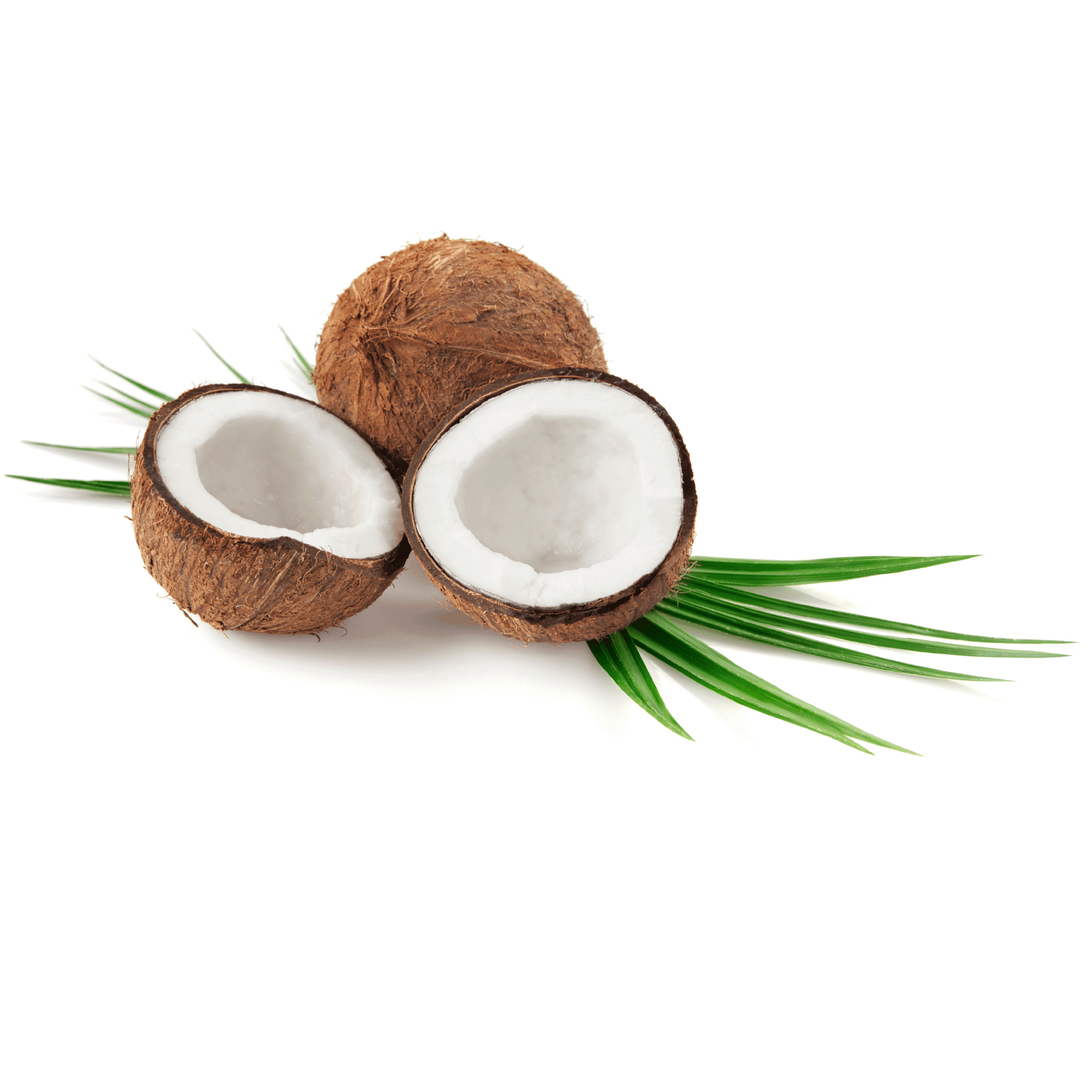 Scaglie di cocco