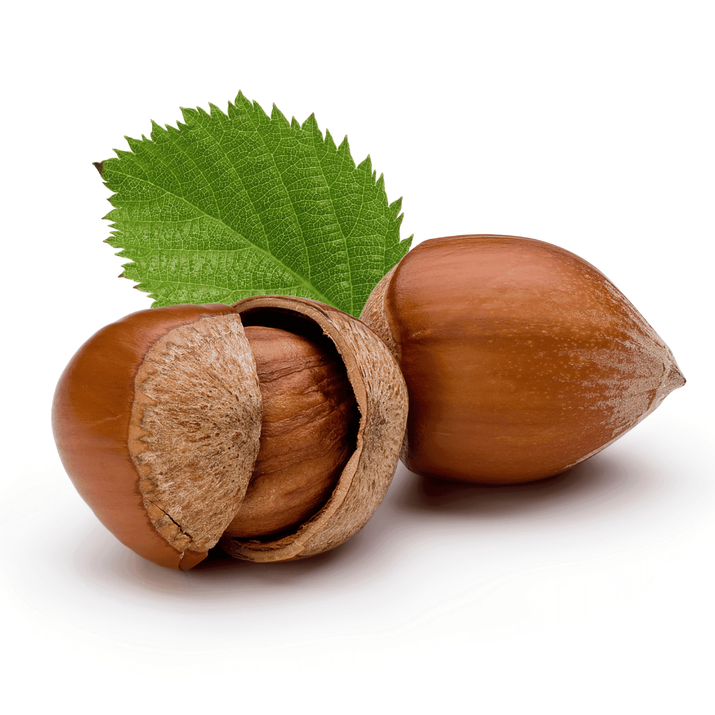 Nocciole